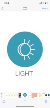 a screenshot of the light icon on an iphone